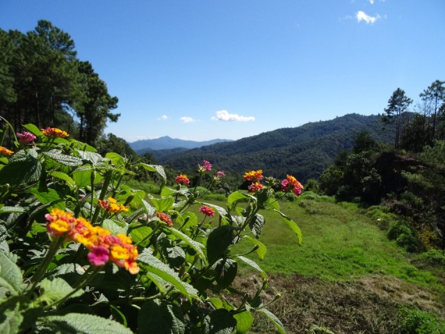 DSC01208