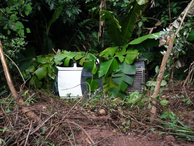 DSC01374
