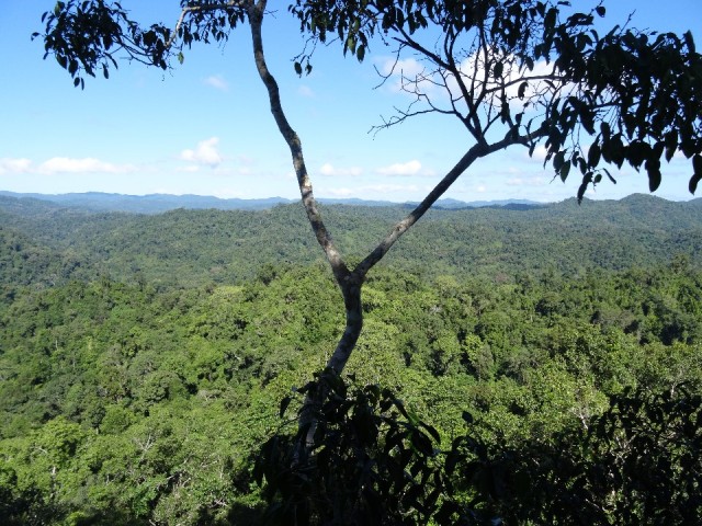 DSC01424