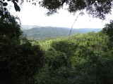 DSC01433