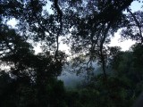 DSC01446