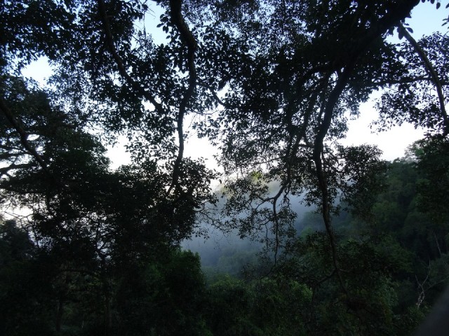 DSC01446