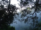 DSC01447