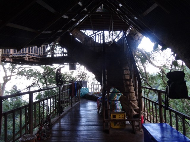 DSC01449