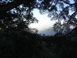 DSC01451