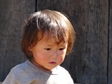 DSC01515