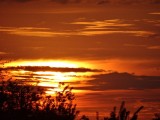DSC01981