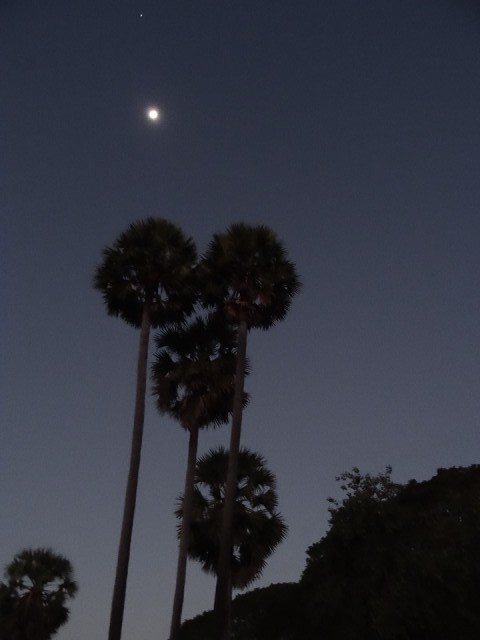 DSC02041