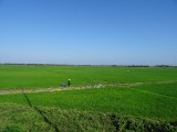 DSC02291
