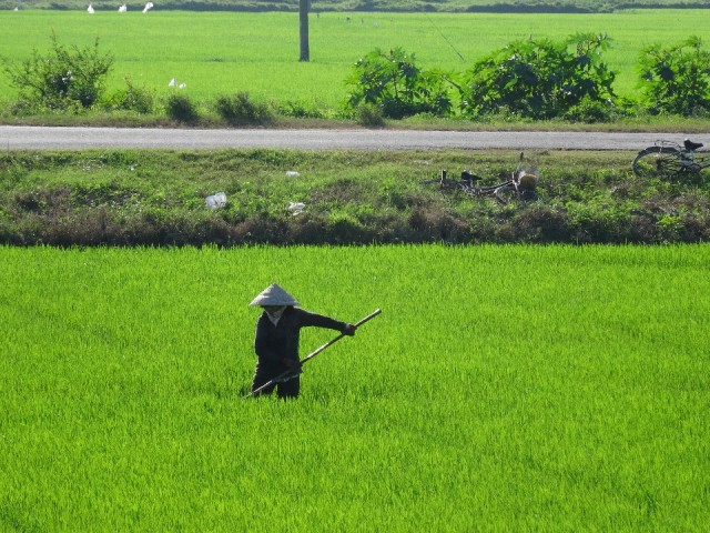DSC02292