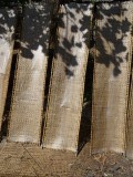 DSC02299
