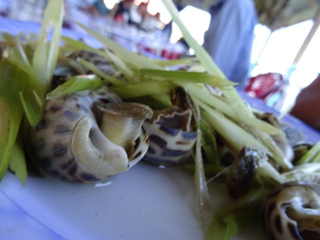 DSC02301