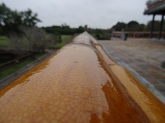DSC02361