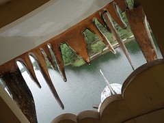 DSC02384