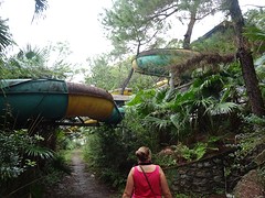 DSC02398