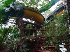 DSC02400