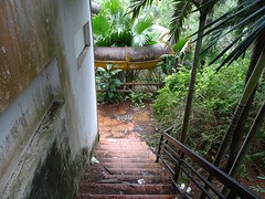 DSC02406
