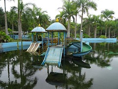DSC02411