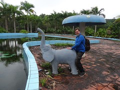 DSC02414