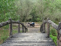 DSC02416