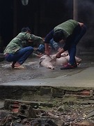 IMG_1766[1]