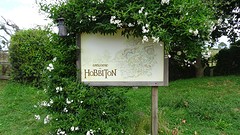 DSC02973