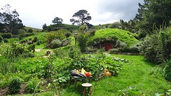 DSC02976