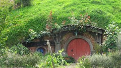 DSC02977
