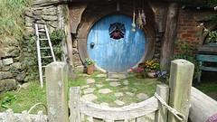 DSC02983