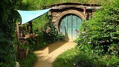 DSC02987