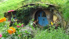DSC02989