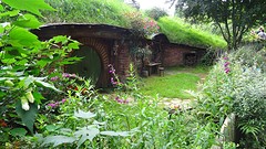 DSC02990