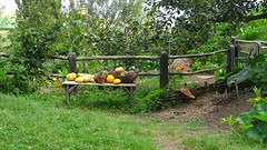 DSC02993