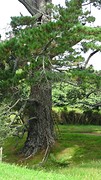 DSC03003