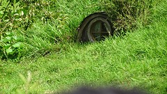 DSC03005