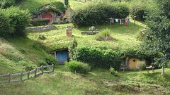 DSC03010