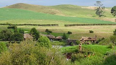 DSC03014
