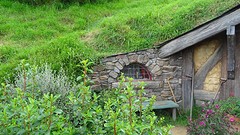 DSC03018