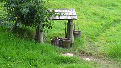 DSC03042