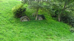 DSC03045