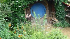 DSC03047