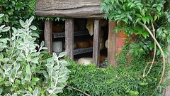 DSC03054