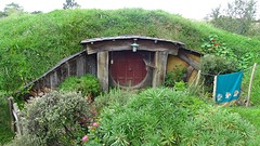 DSC03061
