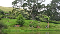 DSC03098
