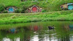 DSC03117