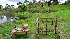DSC03118
