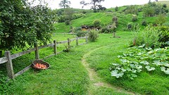DSC03119