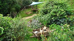 DSC02975