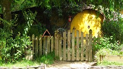 DSC02979