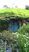 DSC02988